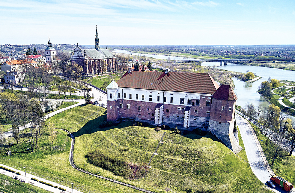 Beautiful panoramic aerial drone view to the Sandomierz Royal Castle - planting vines in the vineyard of St. Jakub - near the monastery and Church of St. Jakub in Sandomierz City, Poland